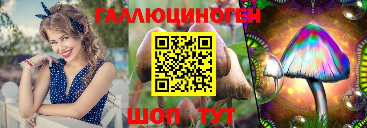 Ликино-Дулёво  Галлюциногенные грибы прущие грибы  даркнет сайт  Галлюциногенные грибы Psilocybine cubensis  Вход с VPN 